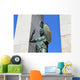Statua Di Athena Reggio Wall Decal