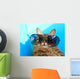 Cat Wearing Sunglasses Wall Decal