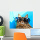 Cat Wearing Sunglasses Wall Decal
