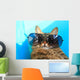 Cat Wearing Sunglasses Wall Decal