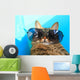 Cat Wearing Sunglasses Wall Decal