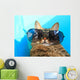 Cat Wearing Sunglasses Wall Decal
