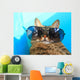 Cat Wearing Sunglasses Wall Decal