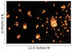 Loi Krathong Wall Decal