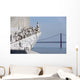 Padrao Dos Descobrimentos Wall Decal