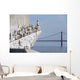 Padrao Dos Descobrimentos Wall Decal