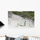 Franklin D Roosevelt Memorial Wall Decal