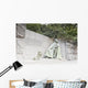 Franklin D Roosevelt Memorial Wall Decal