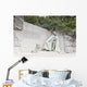 Franklin D Roosevelt Memorial Wall Decal