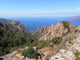 Calanques Piana 19 Wall Decal
