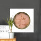 Canned Tuna Wall Decal
