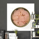 Canned Tuna Wall Decal