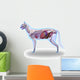 Cat Anatomy Internal Anatomy Wall Decal