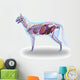 Cat Anatomy Internal Anatomy Wall Decal