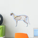Cat Skeleton Anatomy - Anatomy Wall Decal