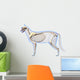 Cat Skeleton Anatomy - Anatomy Wall Decal