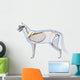 Cat Skeleton Anatomy - Anatomy Wall Decal