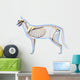 Cat Skeleton Anatomy - Anatomy Wall Decal