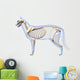 Cat Skeleton Anatomy - Anatomy Wall Decal
