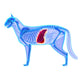 Cat Liver Felis Catus Wall Decal