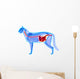 Cat Digestive System Felis Wall Decal