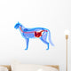 Cat Digestive System Felis Wall Decal