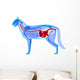 Cat Digestive System Felis Wall Decal