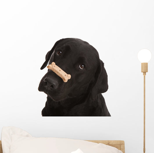 Dog Tricks Wall Decal