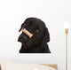 Dog Tricks Wall Decal