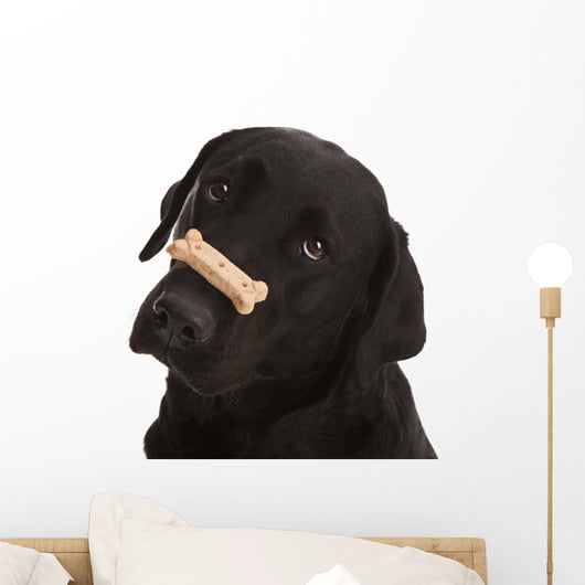 Dog Tricks Wall Decal