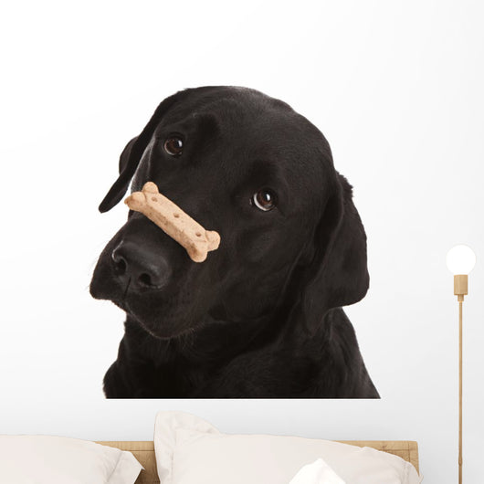 Dog Tricks Wall Decal