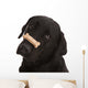 Dog Tricks Wall Decal