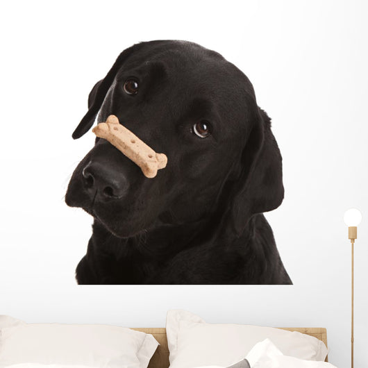 Dog Tricks Wall Decal