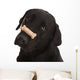 Dog Tricks Wall Decal