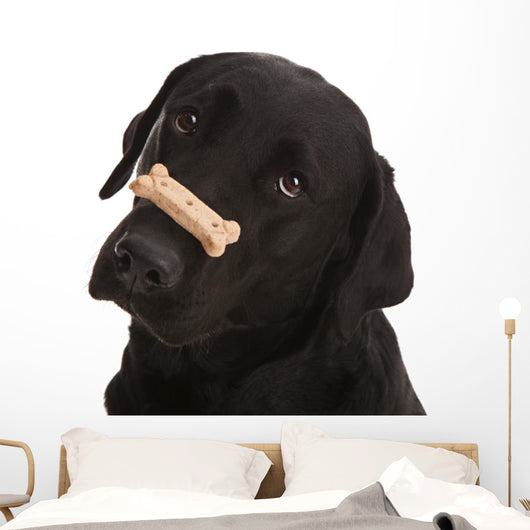 Dog Tricks Wall Decal