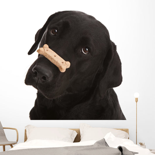 Dog Tricks Wall Decal