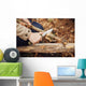 Girl Cuts Stick Knife Wall Decal