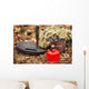 Gas Stove and Cooking Wall Decal
