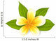 Frangipani with Leaves Exotic Wall Decal