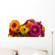 Gerbera Flower Wall Decal