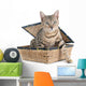 bengal cat Wall Decal