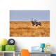 Two Oryx Savannah Wall Decal