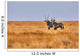Two Oryx Savannah Wall Decal