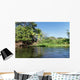Island or Isletas, of Lake Nicaragua near Granada, Nicaragua Wall Mural