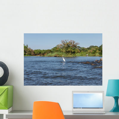 Island or Isletas Lake Wall Mural shown on a wall
