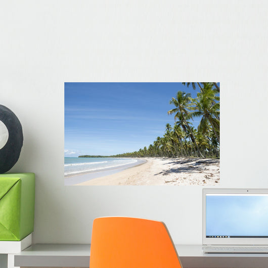 Remote Tropical Brazilian Beach Wall Decal