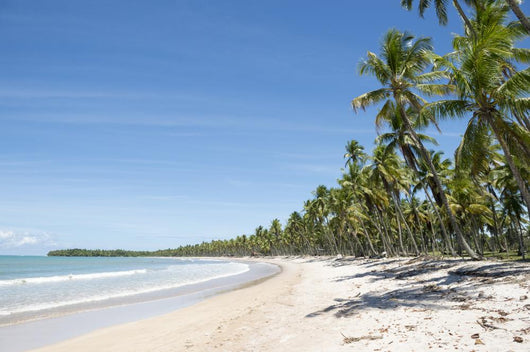 Remote Tropical Brazilian Beach Wall Decal