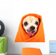 Cute Chihuahua with His Wall Decal