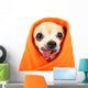 Cute Chihuahua with His Wall Decal