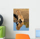 Cheetah Drinking Water with Wall Decal